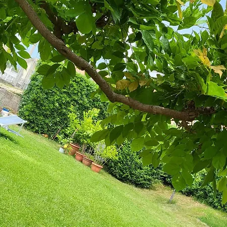 Flauto Magico Bed and Breakfast Caltrano