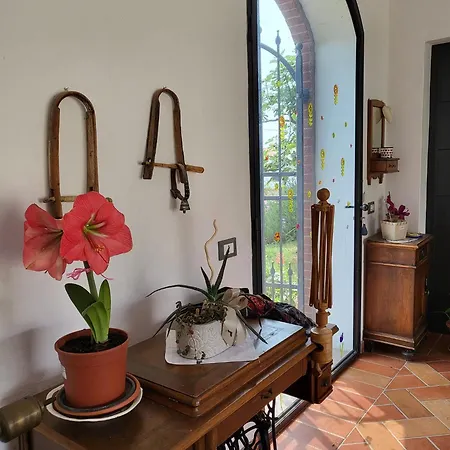 Bed and Breakfast Flauto Magico Caltrano