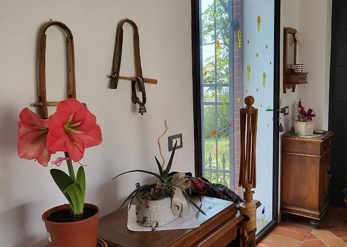 Bed and Breakfast Flauto Magico Caltrano