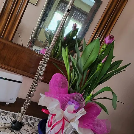 Nocleg ze śniadaniem Flauto Magico 3*