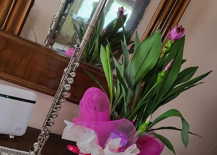 Nocleg ze śniadaniem Flauto Magico 3*